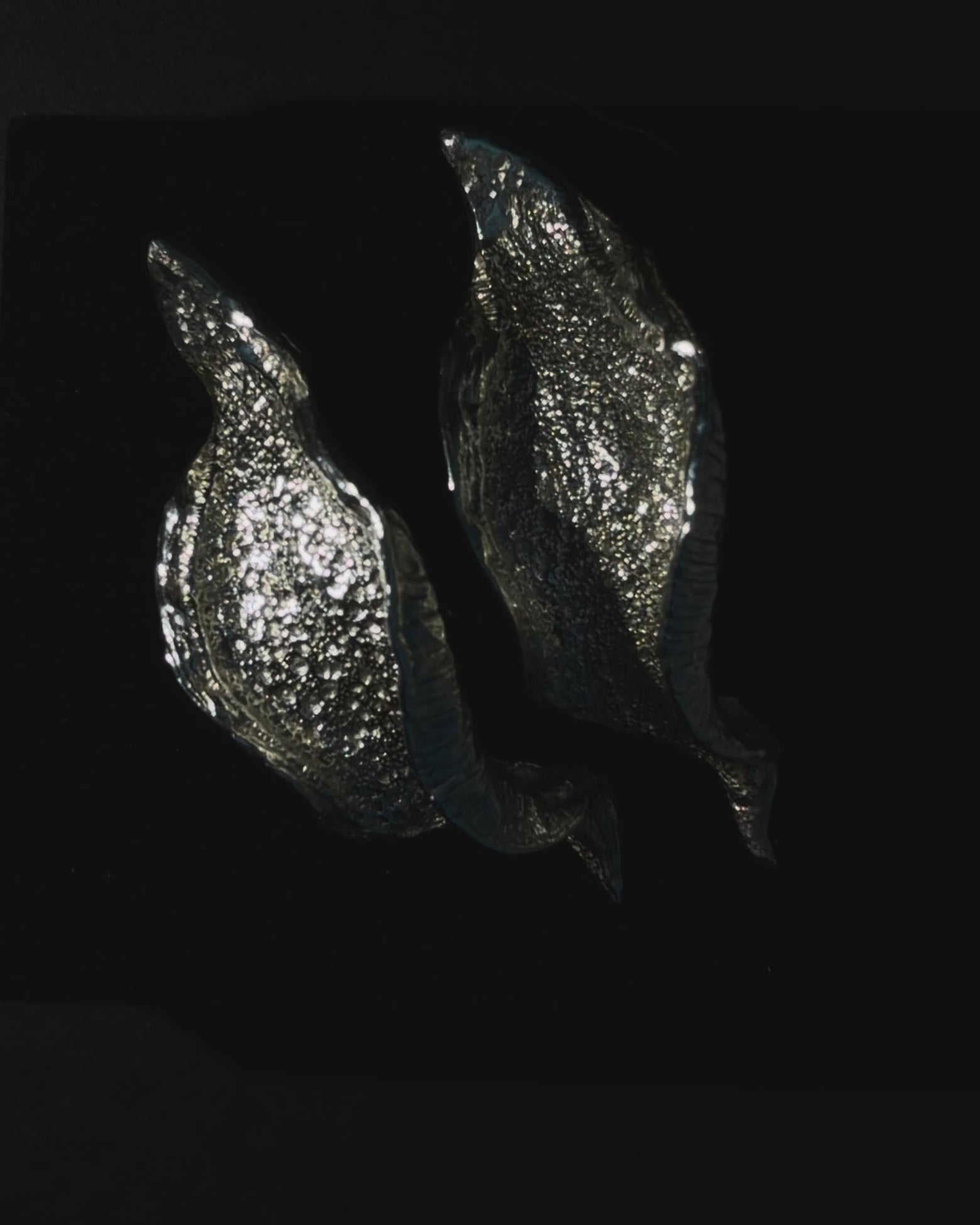 Silver organic sculptural earrings catching light on dark surface