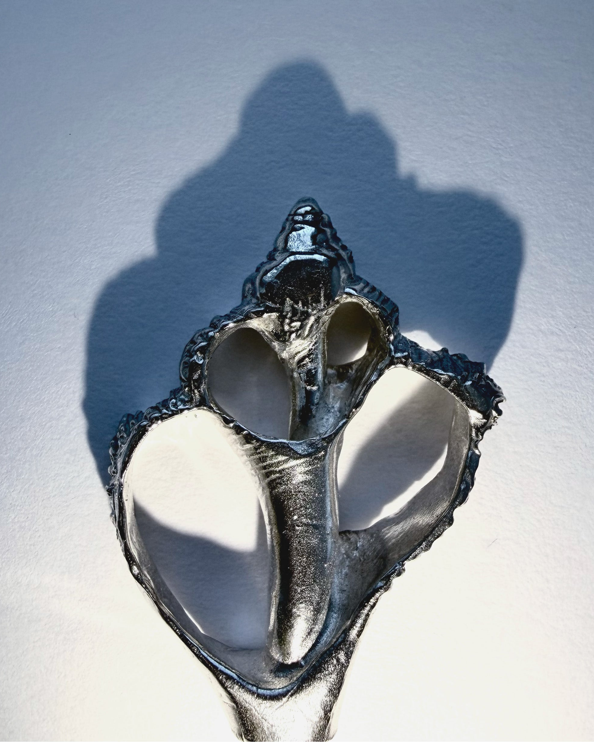 Metallic shell-like object on a reflective surface with a shadow.